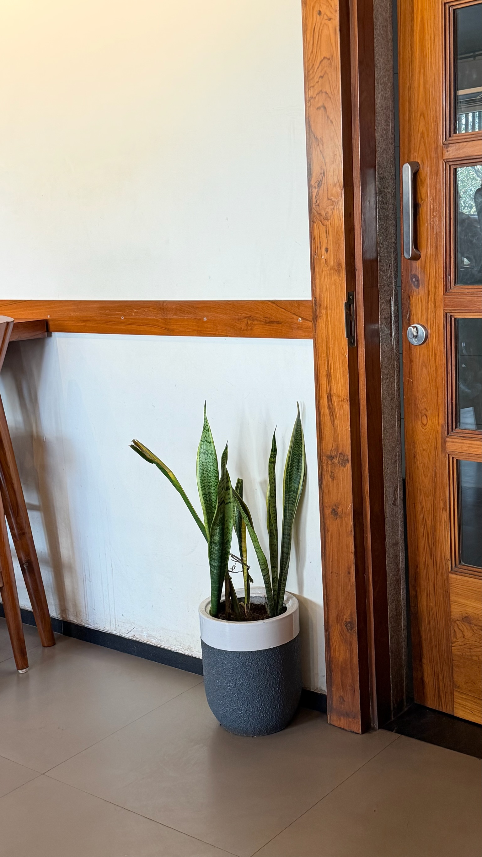 Plant arrangement